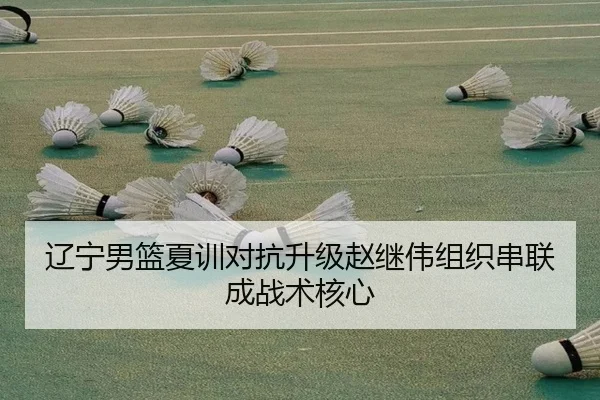 辽宁男篮夏训对抗升级赵继伟组织串联成战术核心